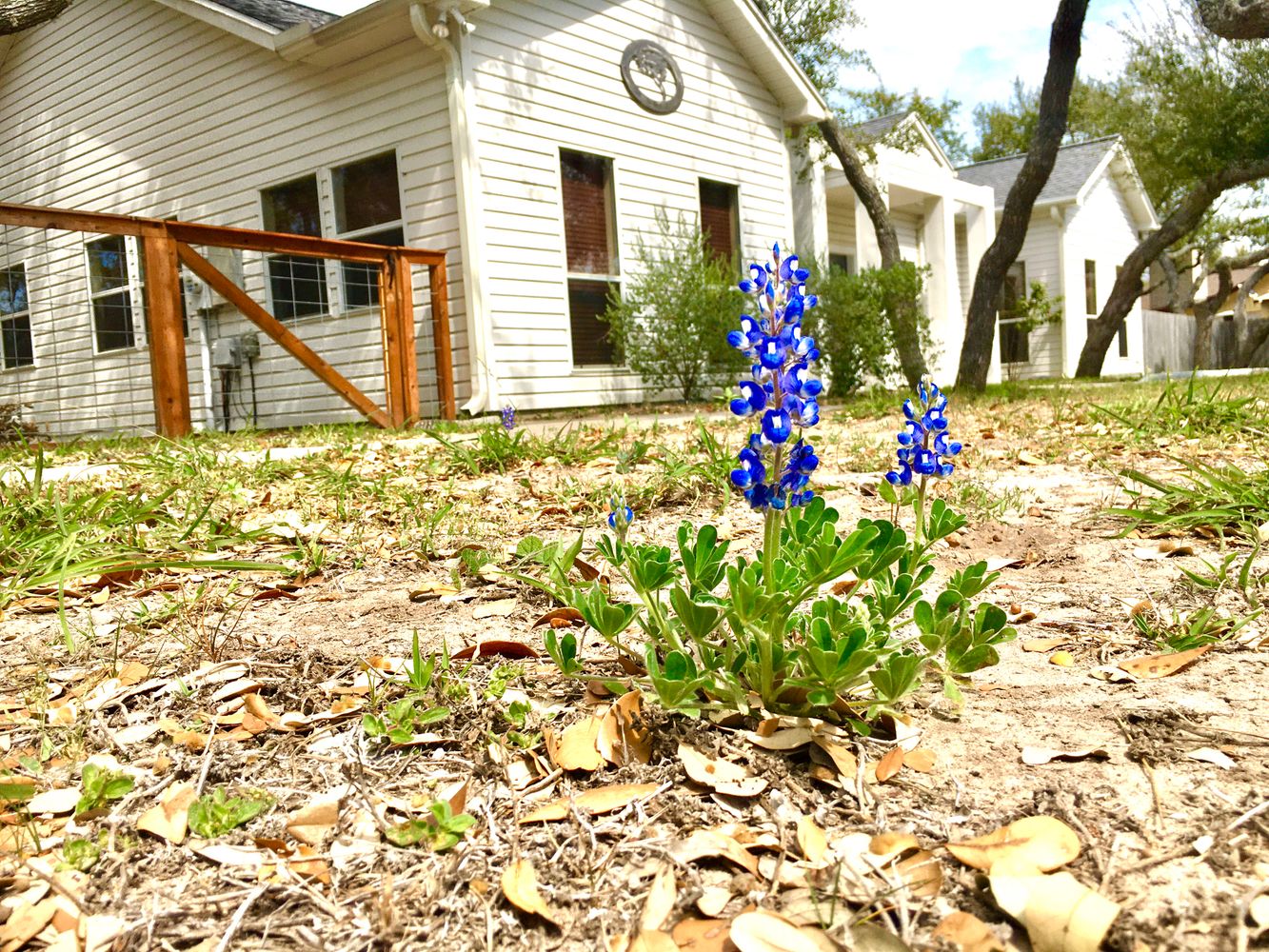 Twisted Oak Work Suites: 1806 Harbor Dr, Rockport, TX 78382